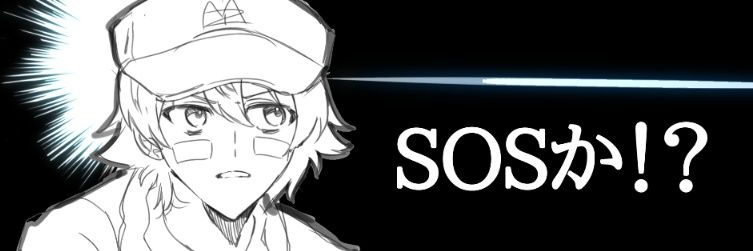 🐑xio banner