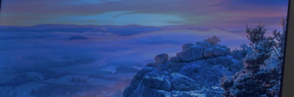 Sugarbritches banner