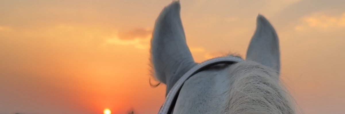 ku_jl0's profile banner image