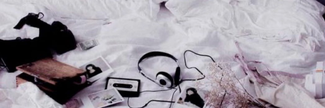 aph ⋆˙⟡🪿⋆. 𐙚 banner