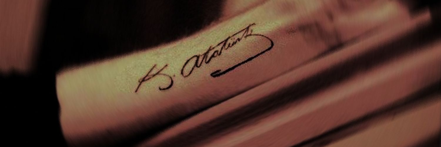 dolubasim's profile banner image