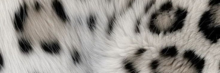 Nandovv11's profile banner image