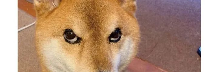 N banner
