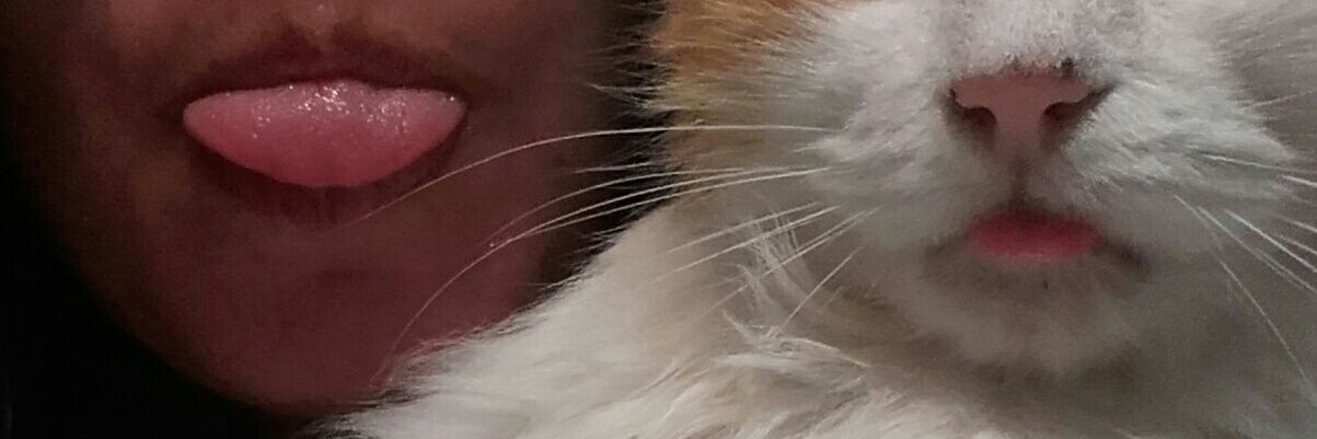 MercedesGomez_'s profile banner image