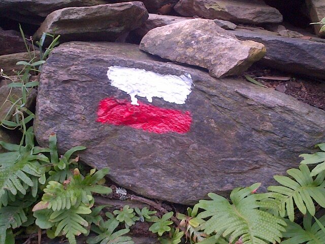 Xavier Carles banner