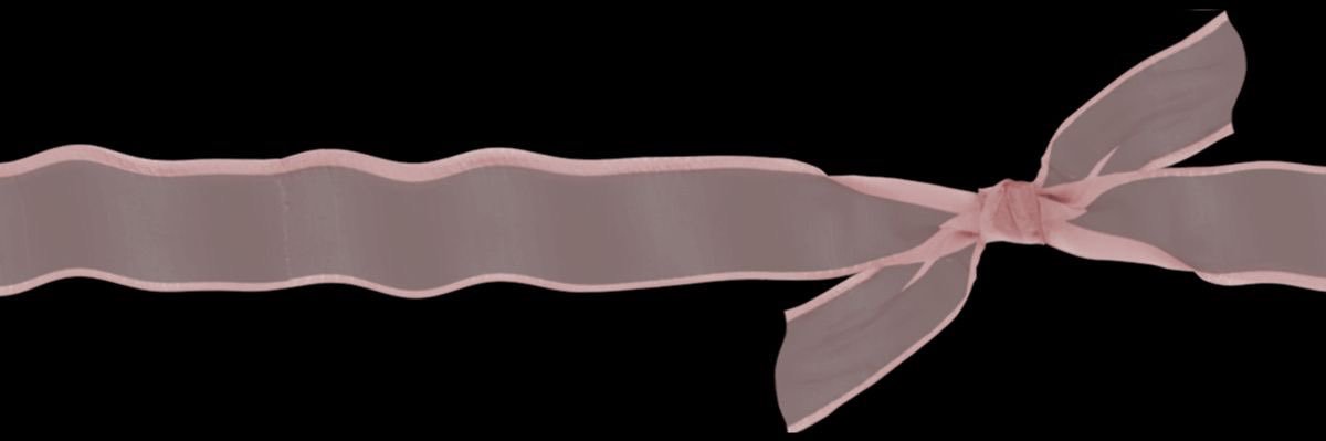 evie ִֶָ. 🪽་༘࿐ banner