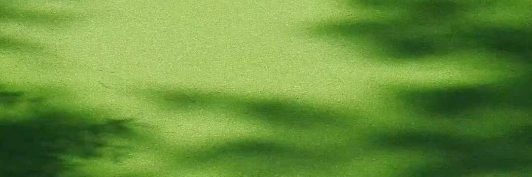 hal banner
