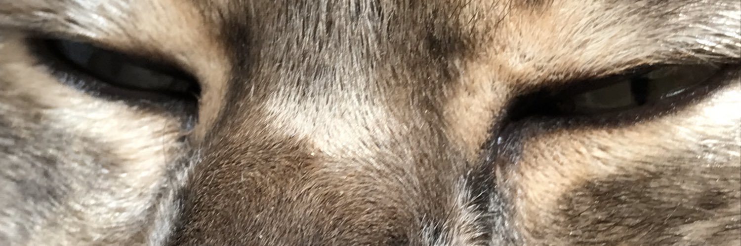 njmnjm's profile banner image