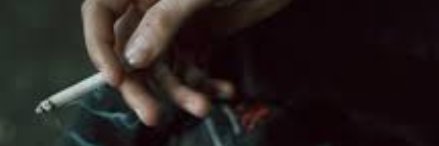 Haider banner