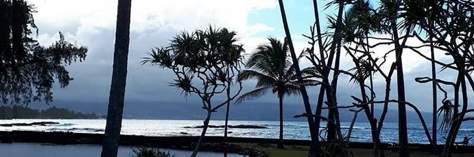 Pascale Parent banner