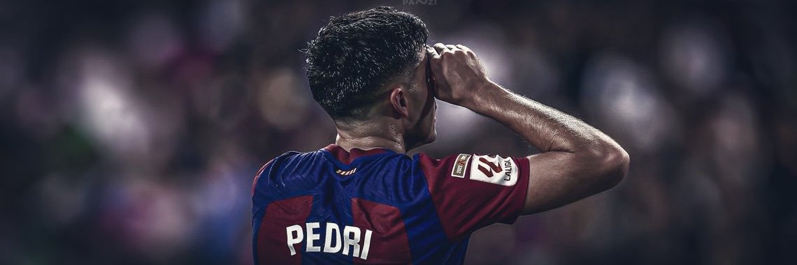 Pedri_Archives's profile banner image