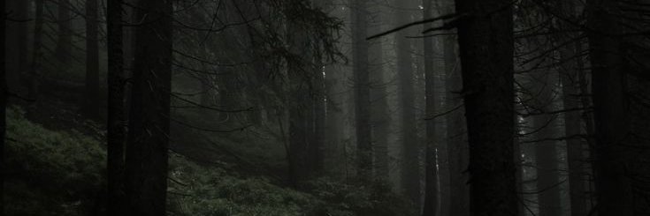 TamelessClaws's profile banner image