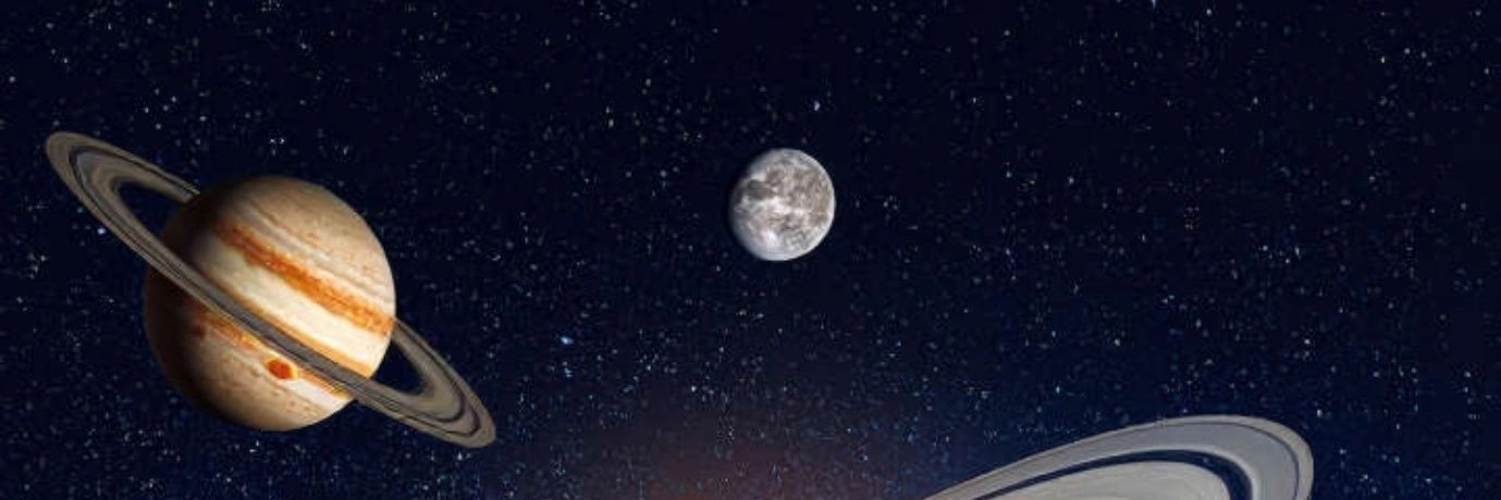 Dog. banner