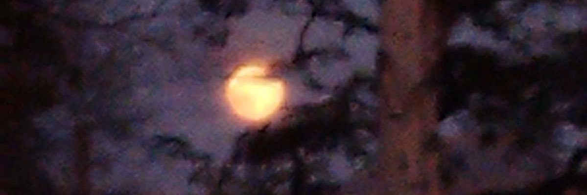 h banner