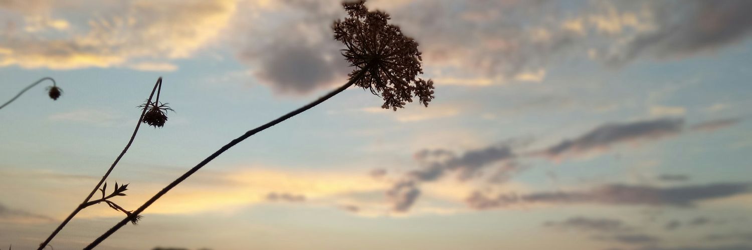 smgss's profile banner image