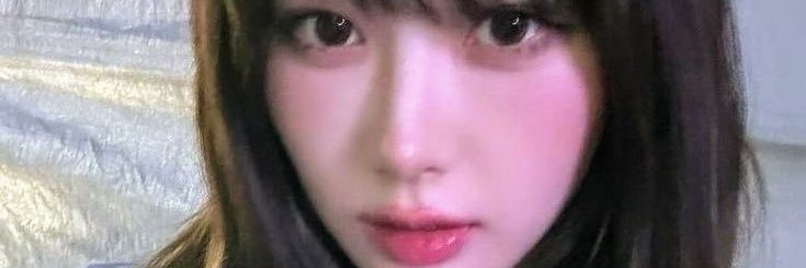rina banner