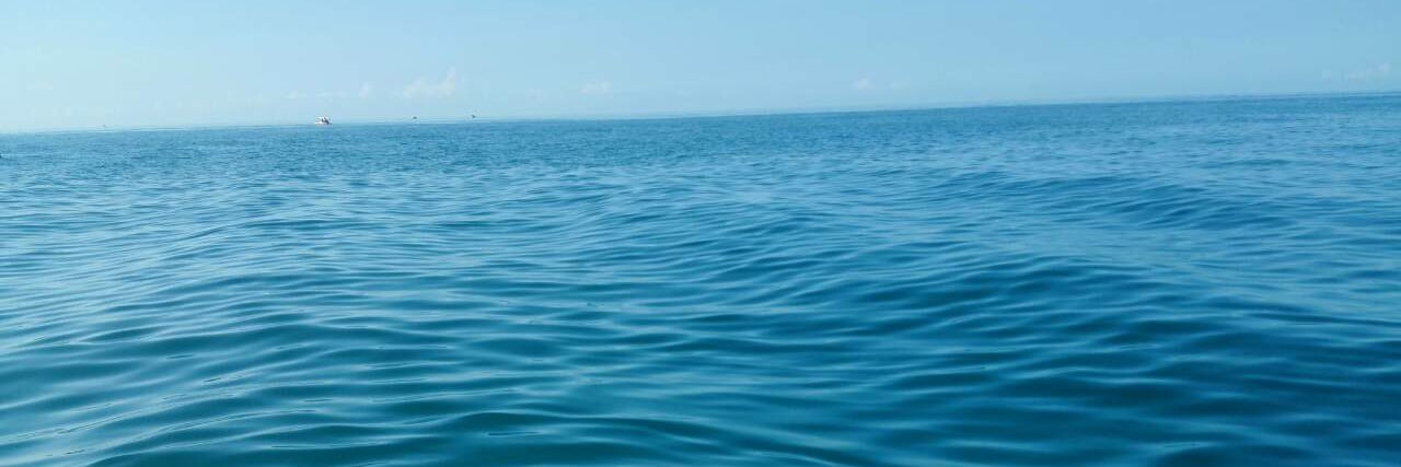 Laila Ackerman banner