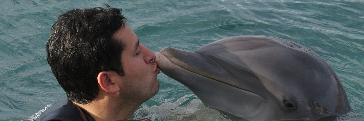 danielincarrion's profile banner image
