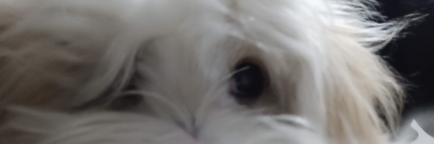XperfectTR's profile banner image