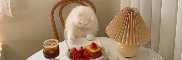 ちゃんく(MG) banner