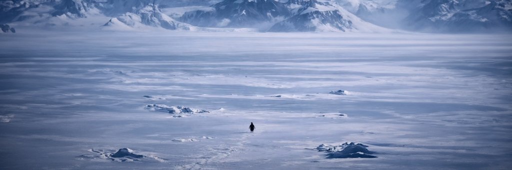 Nihilist Penguin banner