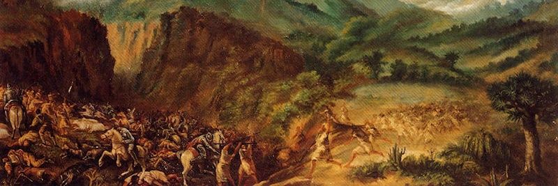 akanari banner