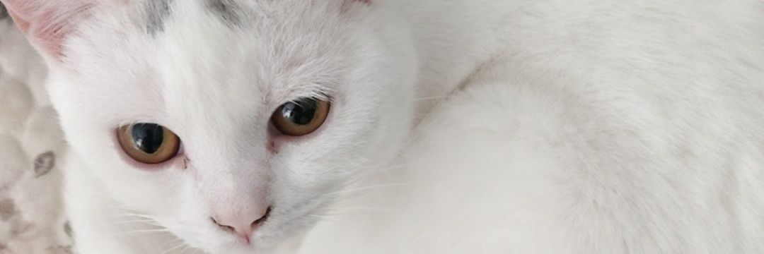 dong30457's profile banner image