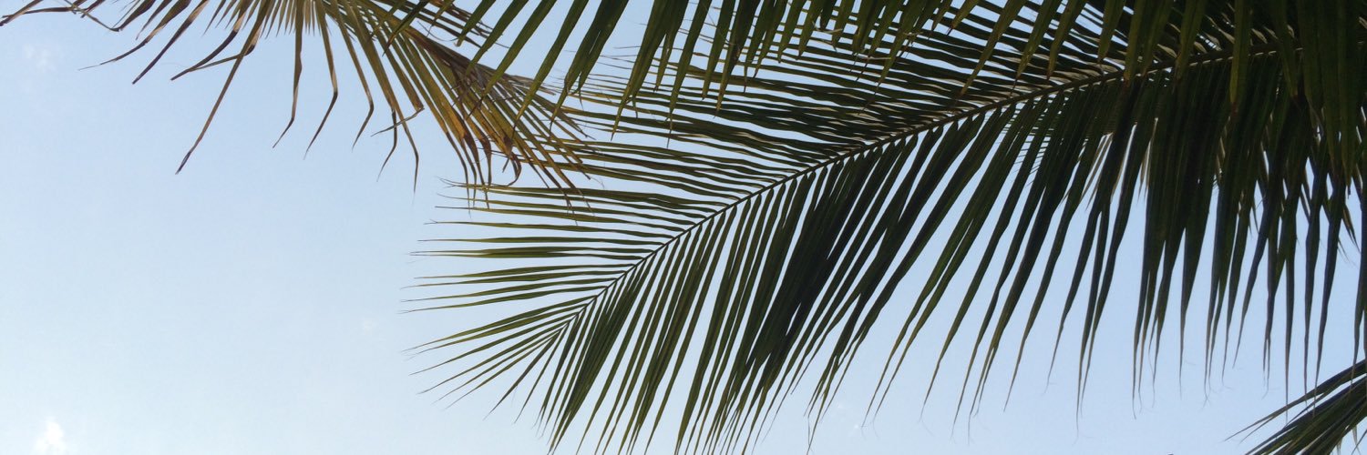 dessieboy's profile banner image