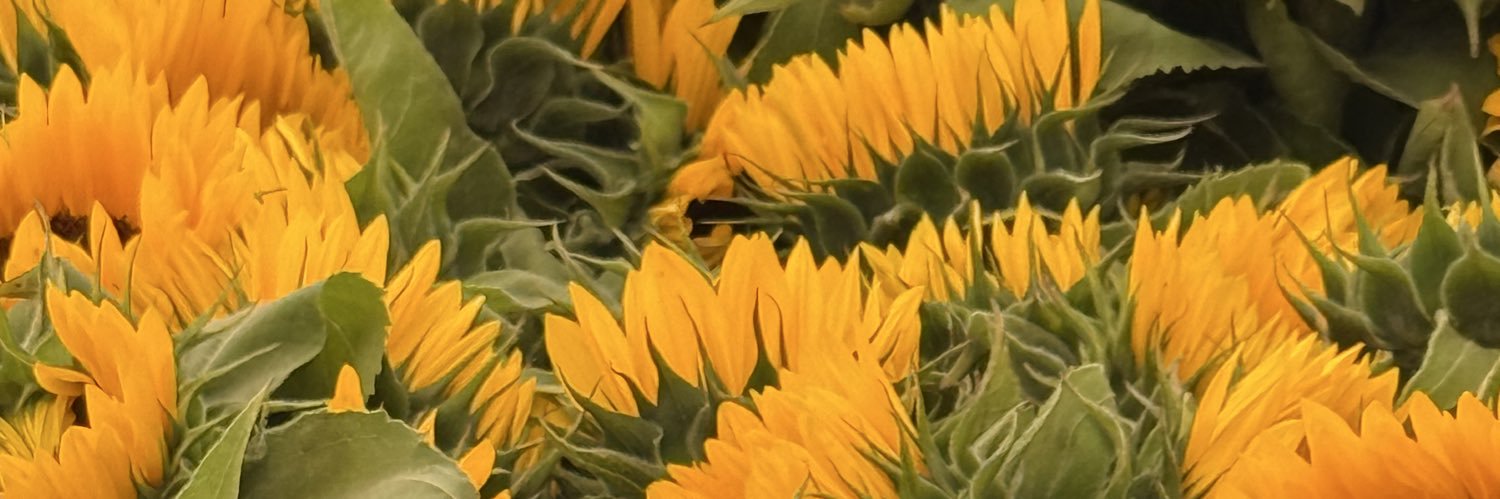 Too long to spell banner