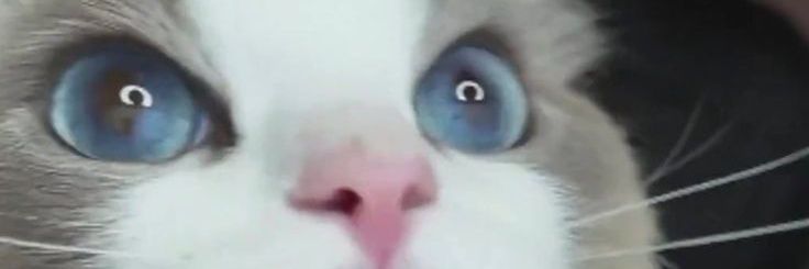 ☆ banner