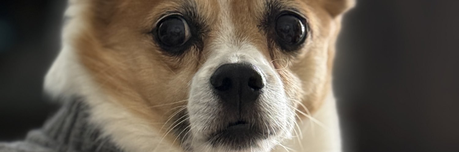 AdamSniderNews's profile banner image