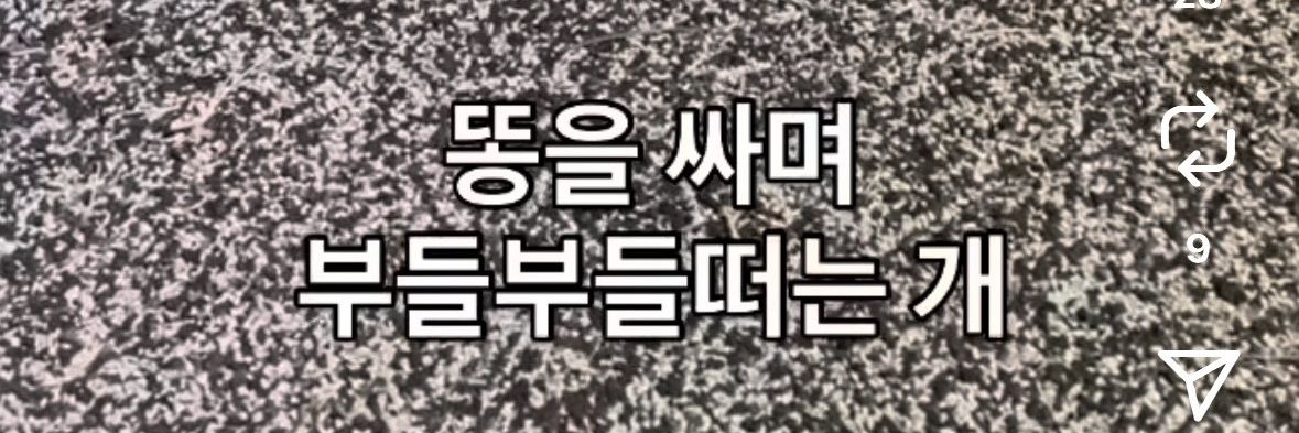 JS_bin61278's profile banner image
