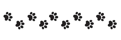 ❤️😝Maddy🐾🍃 banner