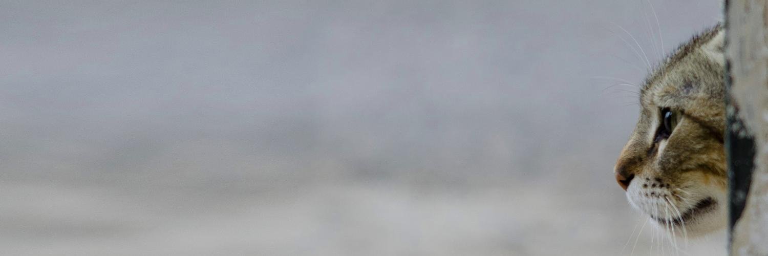 nicksladek's profile banner image