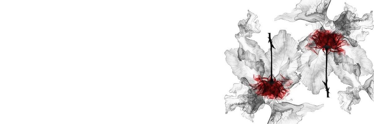 anaïs banner