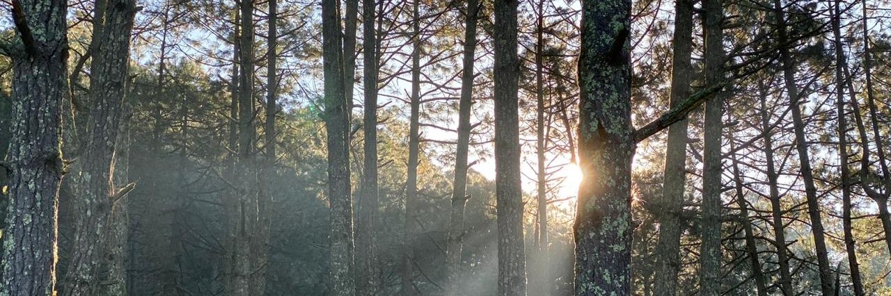 donjerry79's profile banner image