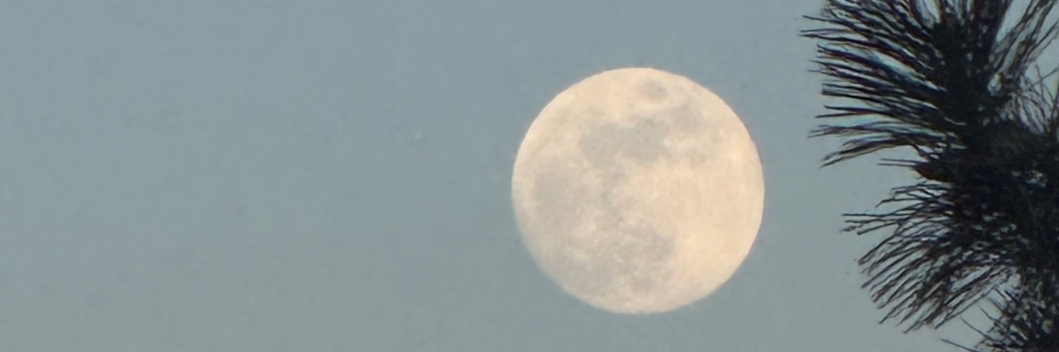 es 🫯 banner