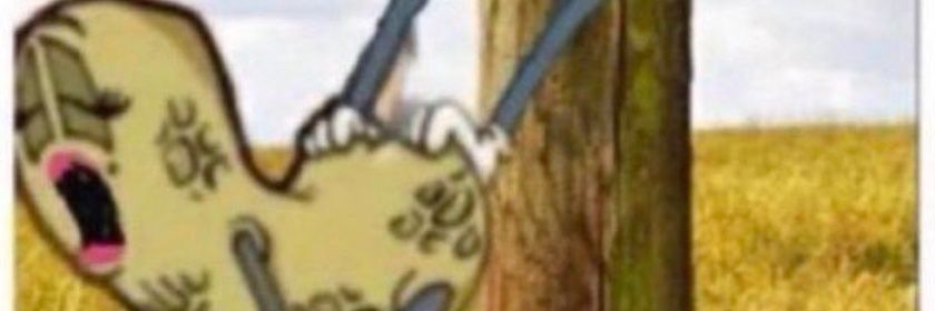 c0kewave's profile banner image
