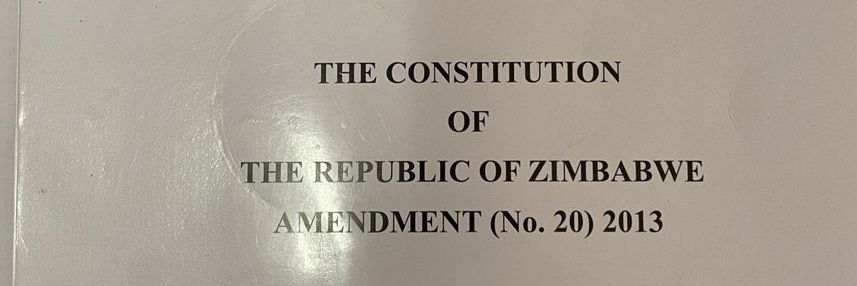 Defend The Constitution Platform banner