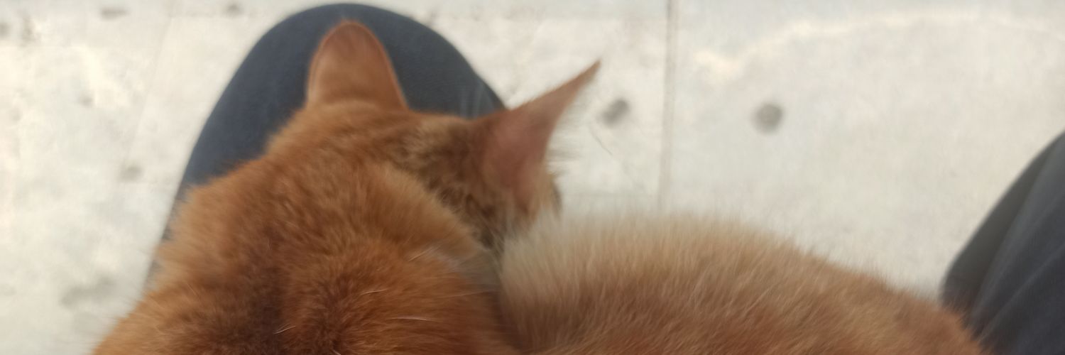 YujiJkj's profile banner image
