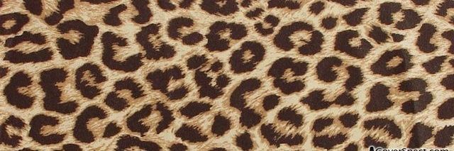 Honey 222 | ley de asunción 🤍 banner