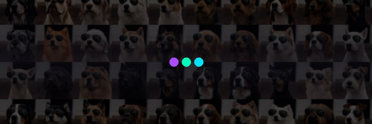 The Crypto Dog Meme Official banner