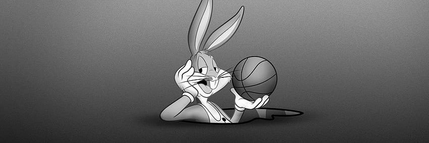 Bunny banner