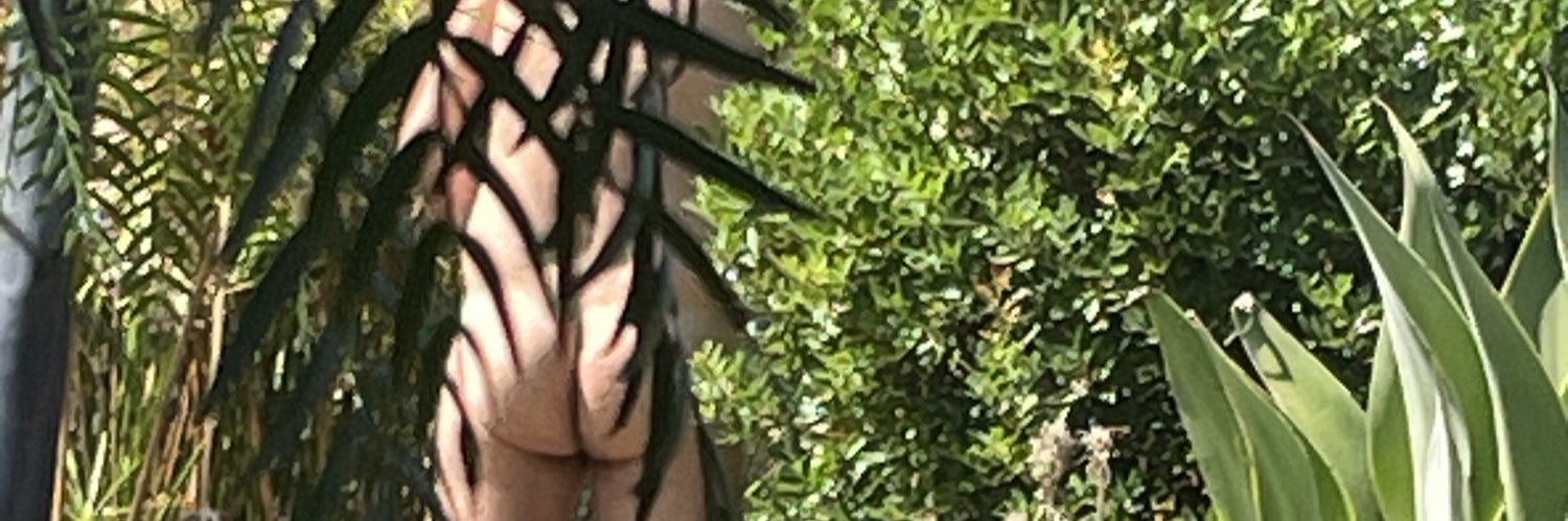 2denosotros banner