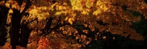 angllvk_wr's profile banner image