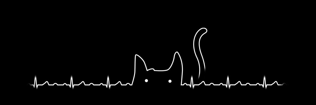 𝑒𝑣𝑎𝑛𝑔𝑒𝑙𝑖𝑛𝑒 banner