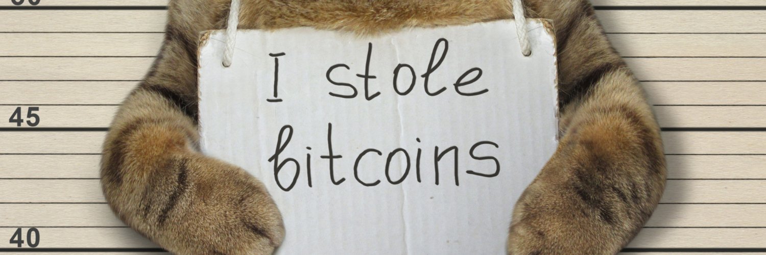 Crypto Cat banner
