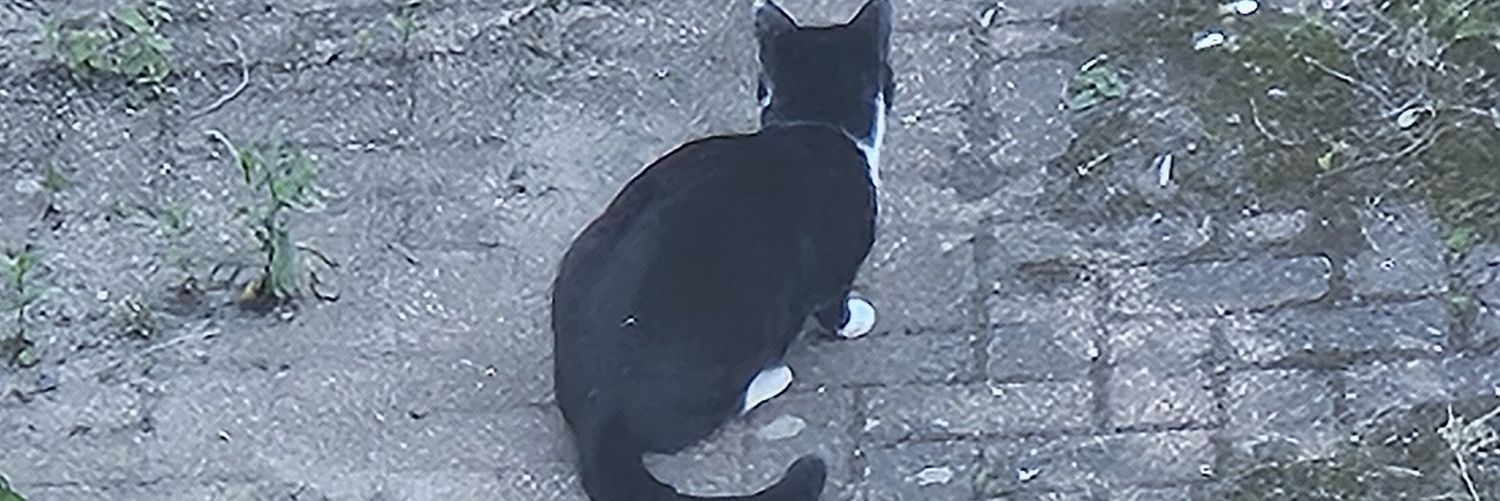 BackStAbber2O07's profile banner image