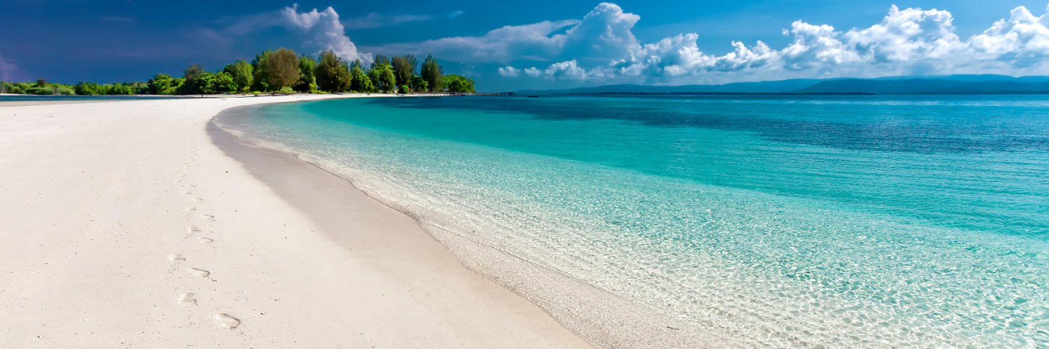 スズ＠美容垢 banner