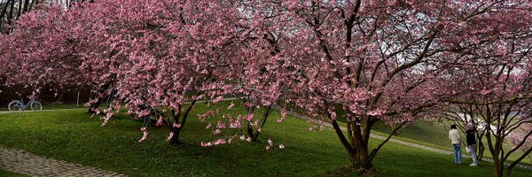 AFPApress Profile Banner